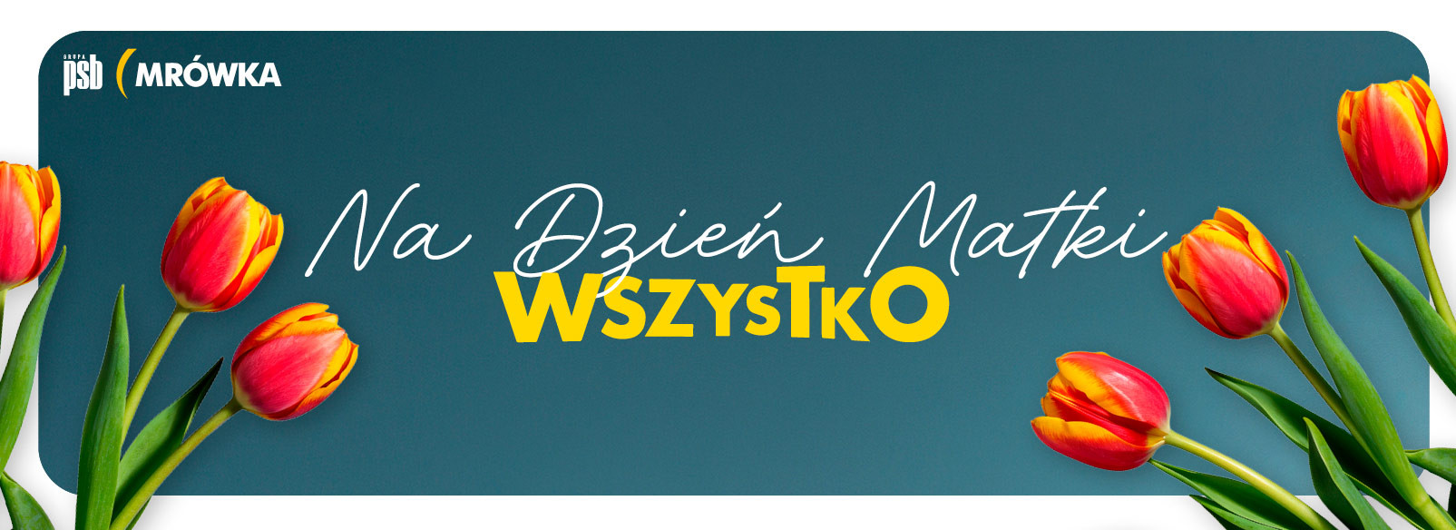 Grupa PSB mrowka Strzelno
